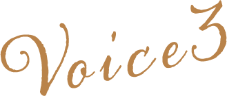 Voice3